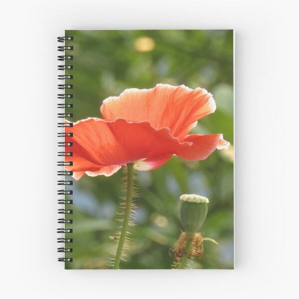 Item preview, oriental white outline red cum orange winter flower poppies designed and sold by hellonamrata.