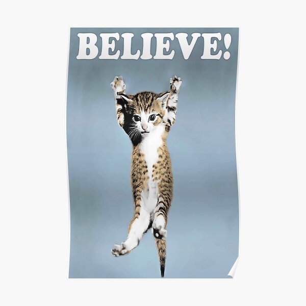 Believe Cat   Poster