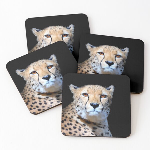Item preview, Stunning Cheetah, hypnotic eyes designed and sold by Orianah.