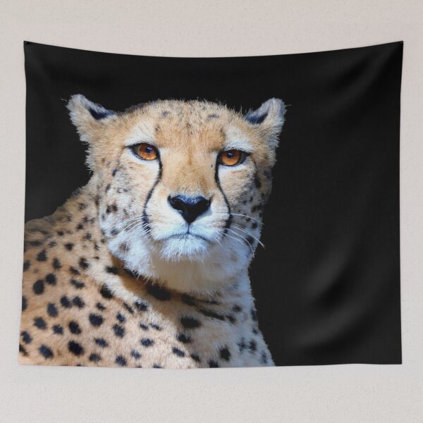 Item preview, Stunning Cheetah, hypnotic eyes designed and sold by Orianah.