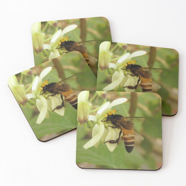Item preview, Miel de abeja en el árbol de la baqueta designed and sold by hellonamrata.