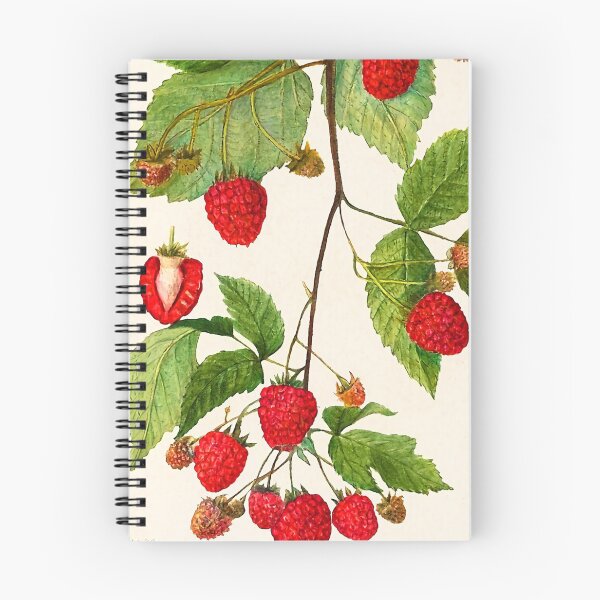 Item preview, Blackberries (Rubus subg. Rubus Watson) by Amanda Almira Newton designed and sold by ZatsGaleries.