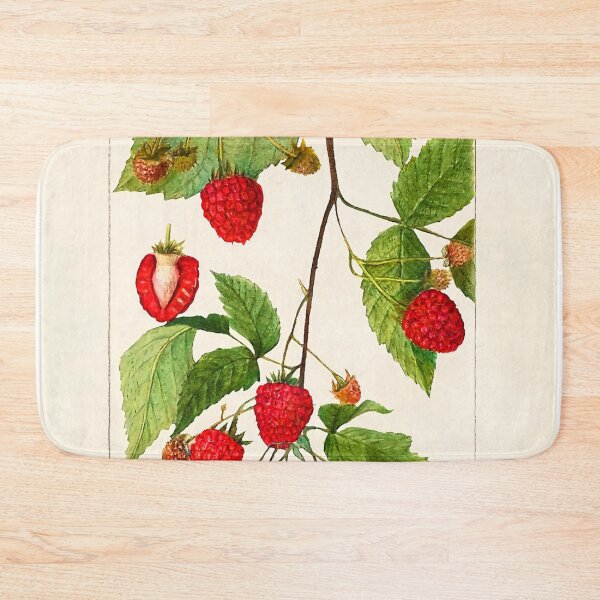 Item preview, Blackberries (Rubus subg. Rubus Watson) by Amanda Almira Newton designed and sold by ZatsGaleries.
