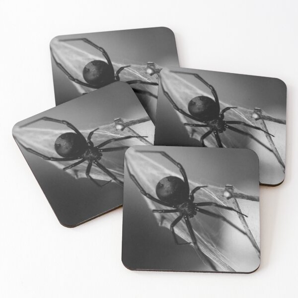 Item preview, Black and white spider designed and sold by Lustkill.