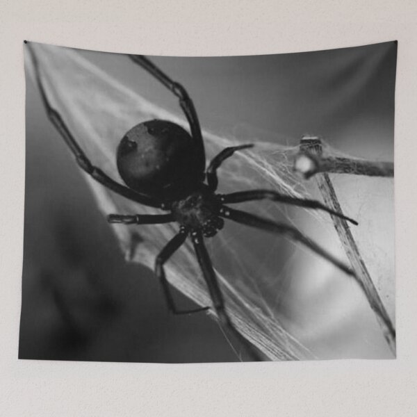 Item preview, Black and white spider designed and sold by Lustkill.