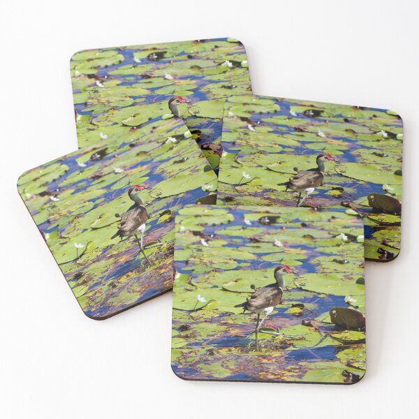 Item preview, Jacana bird stepping on lilypads, Australia designed and sold by FranWest.