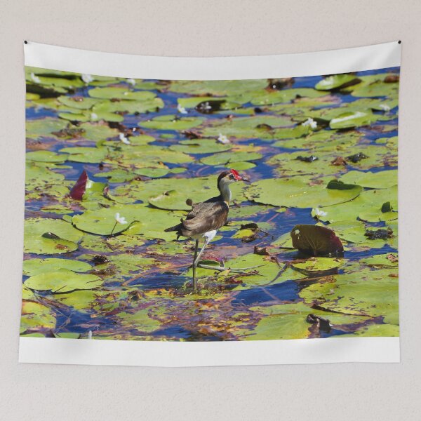 Item preview, Jacana bird stepping on lilypads, Australia designed and sold by FranWest.