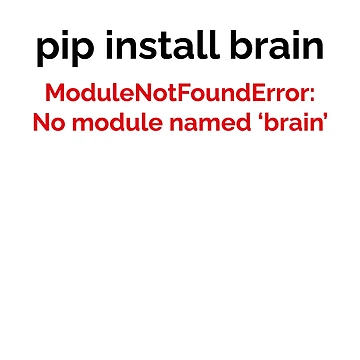 Artwork thumbnail, Funny Python pip Install Brain Programming and Coding by MadPanda