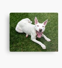 You Want It When….. Metal Print