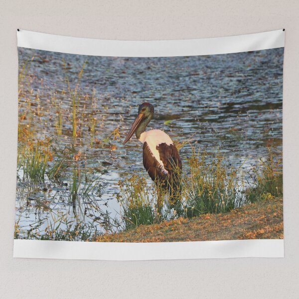 Item preview, Jabiru black-necked stork, Kununurra, Western Australia designed and sold by FranWest.