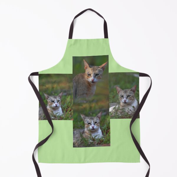 Item preview, Different/funny/weird/ expression of cats/Photo collage designed and sold by VeenaNair23.