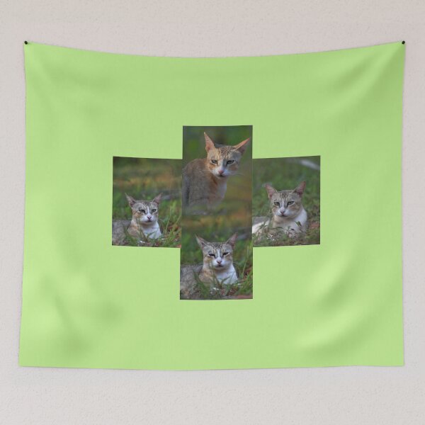 Item preview, Different/funny/weird/ expression of cats/Photo collage designed and sold by VeenaNair23.