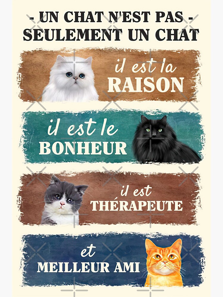 un-chat-n-est-pas-seulement-un-chat-a-cat-is-not-poster-gift-cat