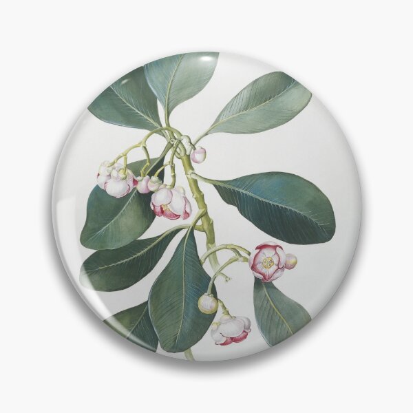 Item preview, Flowers of the Amazon - Margaret Mee designed and sold by paintingmovie.
