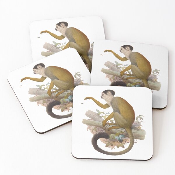 Item preview, Central American squirrel monkey (Saimiri oerstedii, endangered) designed and sold by Ecologos.