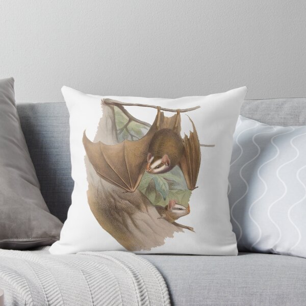 Item preview, Salvin's big-eyed bat (Chiroderma salvini) designed and sold by Ecologos.