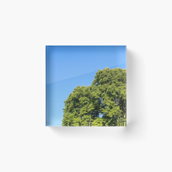 Item preview, Above the branches designed and sold by EtaylorDesign.