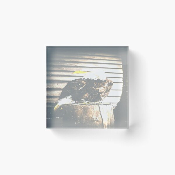 Item preview, super golden eagle designed and sold by dynastyokou.