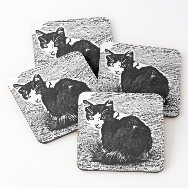 Item preview, Black and white streetcat designed and sold by Greengardens36.