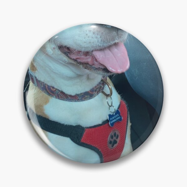 Item preview, Doggo on a pillow  designed and sold by Marriegrace.