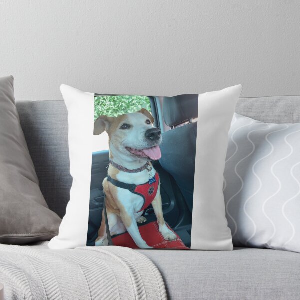 Item preview, Doggo on a pillow  designed and sold by Marriegrace.