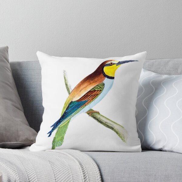 Item preview, Bee-eaters, hand-colored, carved images, birds, painting illustrations, bee-eaters like to eat bees, so they are also called bee-eaters designed and sold by zenger2021.