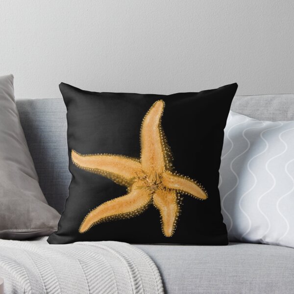 Item preview, Starfish Graphic designed and sold by Wernher Krutein.