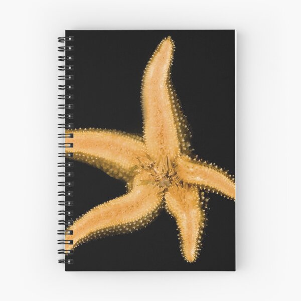 Item preview, Starfish Graphic designed and sold by Wernher Krutein.