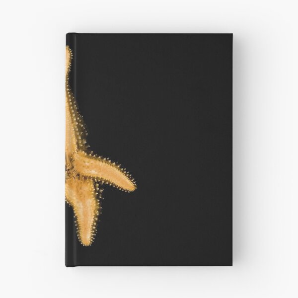 Item preview, Starfish Graphic designed and sold by Wernher Krutein.