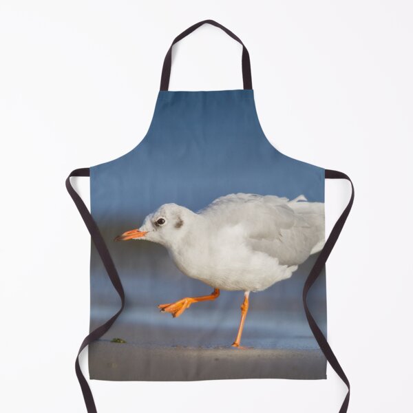 Item preview, Black-Headed Gull designed and sold by Dominika Aniola.
