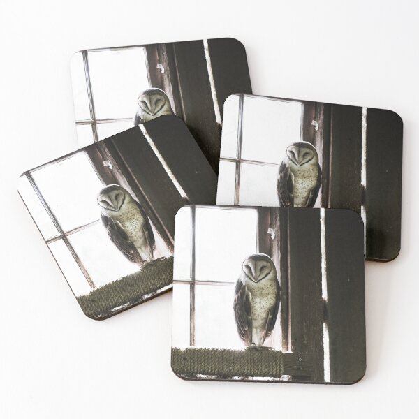 Item preview, Mystery Owl Standing by the window designed and sold by JoyforU.