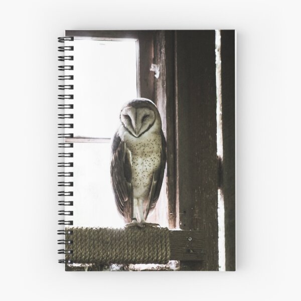 Item preview, Mystery Owl Standing by the window designed and sold by JoyforU.