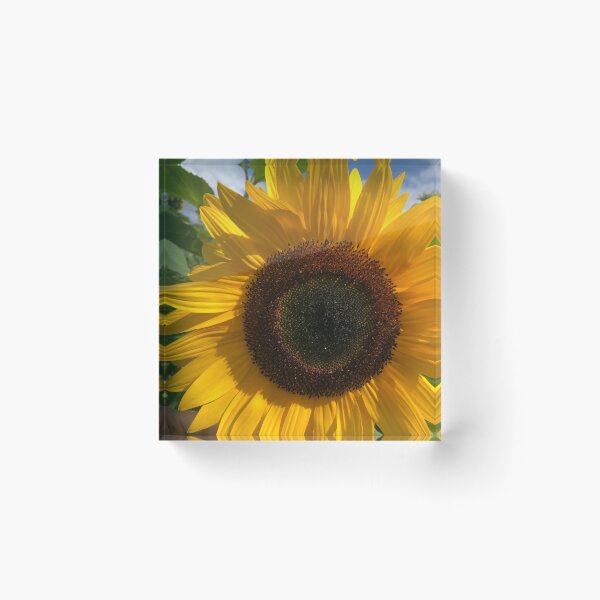 Item preview, Sunflower designed and sold by elaine-gregers.