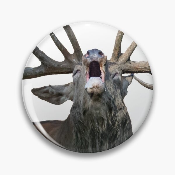 Item preview, Red deer in the rut designed and sold by Ingo Gerlach.