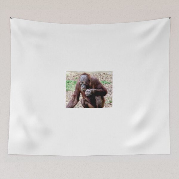 Item preview, Baby orangatang eating designed and sold by ejrphotography.