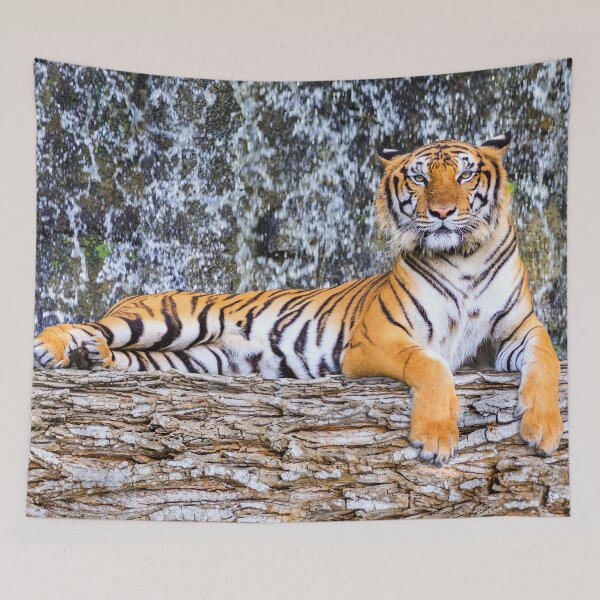 Item preview,  panoramic,panoramic wall art, panoramic canvas,Tapestries,Tapestry,throw blankets,comforters,tiger,animal, animals,tiger wall art,tiger artwork,tigers,wild,tiger art,tiger painting, designed and sold by eyesight4vision.