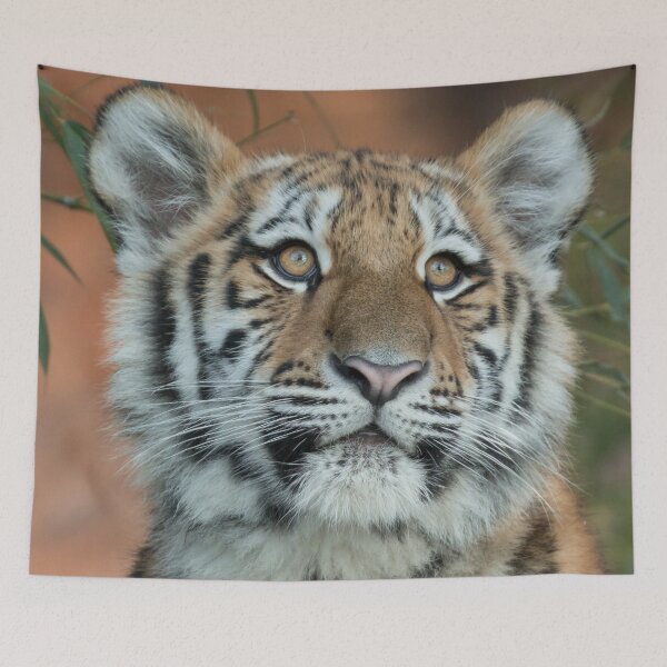 Item preview, panoramic,panoramic wall art, panoramic canvas, Tapestries,Tapestry,throw blankets,comforters,duvet covers,tiger,animal, animals,tiger wall art,tiger artwork,tigers,wild,tiger art,tiger painting, designed and sold by eyesight4vision.
