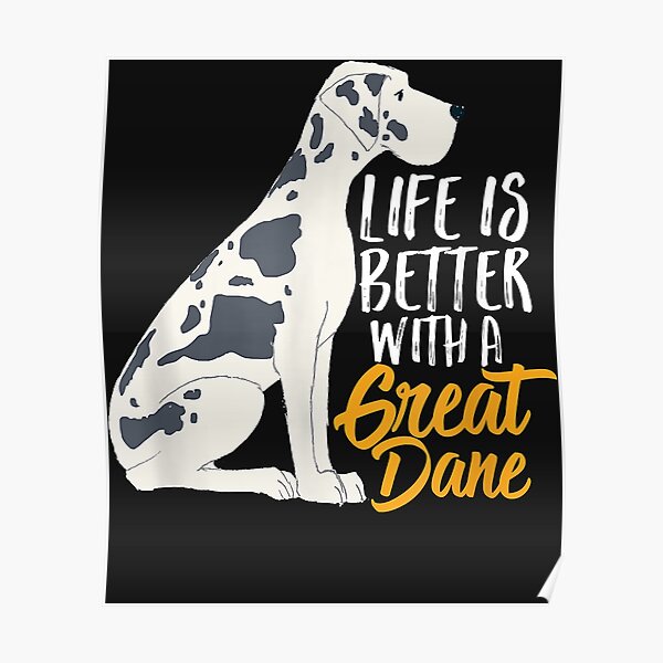 great dane jumper