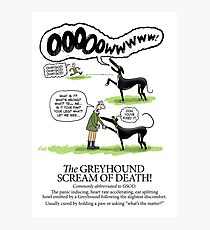 Greyhound Glossary: GSOD Photographic Print