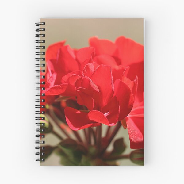 Item preview, Pelargonium petals. designed and sold by Paul Pasco.