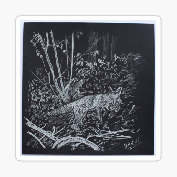 Night time Prowler_ Red Fox Sticker