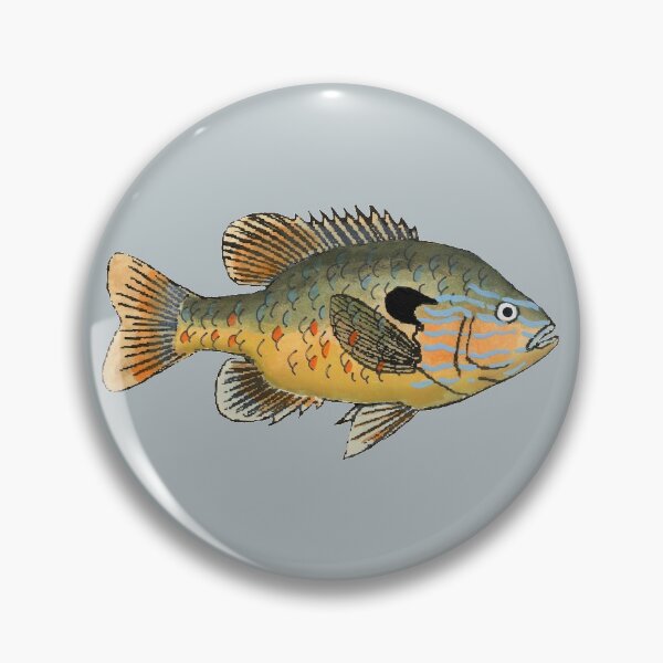 Item preview, Longear Sunfish designed and sold by fishfolkart.