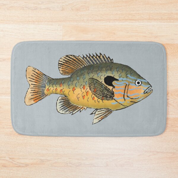 Item preview, Longear Sunfish designed and sold by fishfolkart.