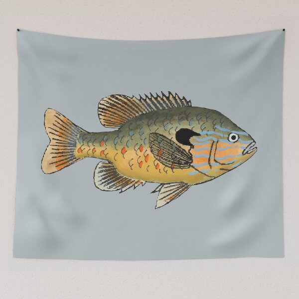 Item preview, Longear Sunfish designed and sold by fishfolkart.