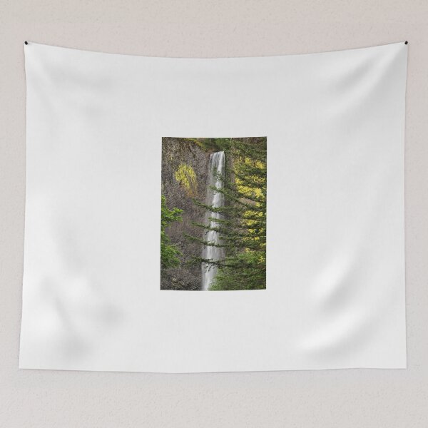 Item preview, Latourell Falls - 1 ©  designed and sold by © Hany G. Jadaa © Prince John Photography.