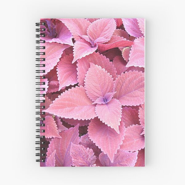 Item preview, Perfectly Pink designed and sold by Monnie Ryan.