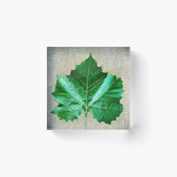 Item preview, Giant leaf designed and sold by JustJujubee.