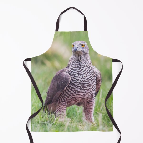 Item preview, Northern Goshawk designed and sold by Dominika Aniola.
