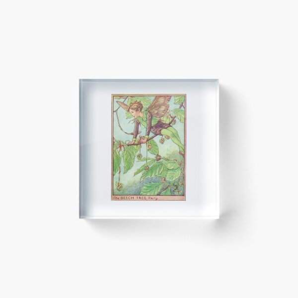Item preview, Incredible Beech Tree Fairy designed and sold by Studio66Designs.