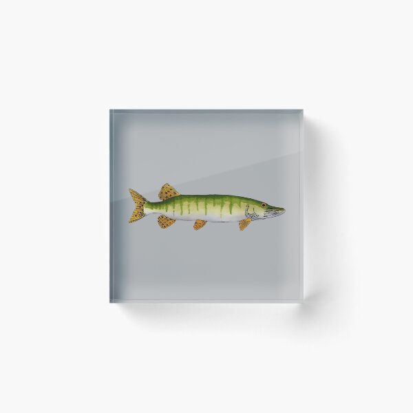 Item preview, Muskellunge (Muskie) designed and sold by fishfolkart.